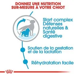 Royal Canin - Croquettes Starter Mother & Babydog Medium Pour Chiennes Et Chiots - 4KG 10 Royal Canin - Croquettes Starter Mother & Babydog Medium Pour Chiennes Et Chiots - 4KG -Nourriture pour chien Soldes 74403