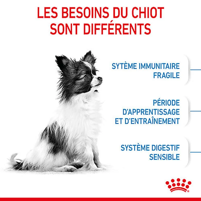 Royal Canin - Croquettes Puppy X-Small Pour Chiots - 3Kg 5 Royal Canin - Croquettes Puppy X-Small Pour Chiots - 3Kg – Image 3