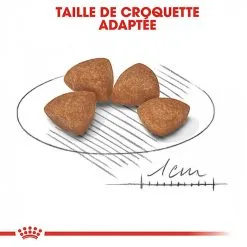 Royal Canin - Croquettes Puppy X-Small Pour Chiots - 3Kg 9 Royal Canin - Croquettes Puppy X-Small Pour Chiots - 3Kg -Nourriture pour chien Soldes 74426