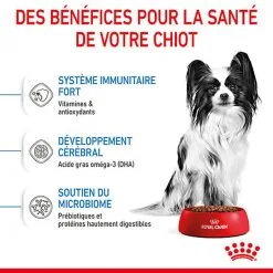 Royal Canin - Croquettes Puppy X-Small Pour Chiots - 3Kg 11 Royal Canin - Croquettes Puppy X-Small Pour Chiots - 3Kg -Nourriture pour chien Soldes 74427