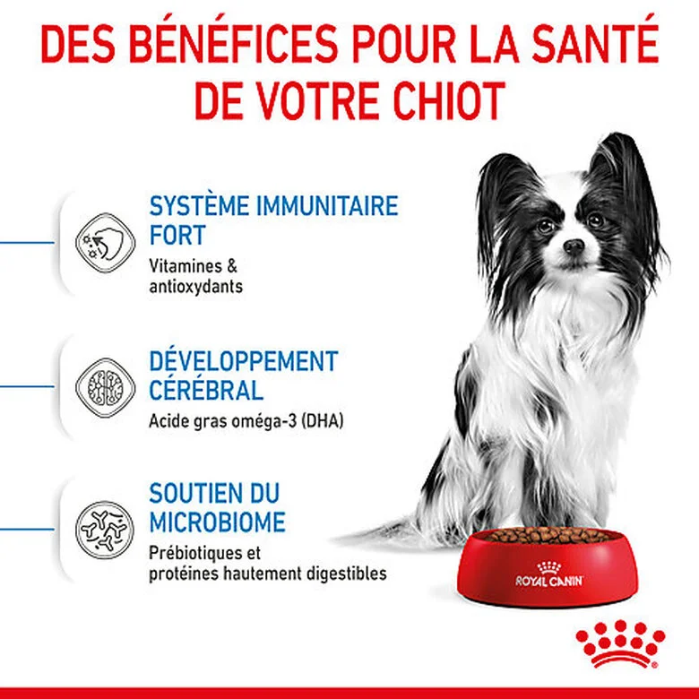 Royal Canin - Croquettes Puppy X-Small Pour Chiots - 3Kg 6 Royal Canin - Croquettes Puppy X-Small Pour Chiots - 3Kg – Image 4