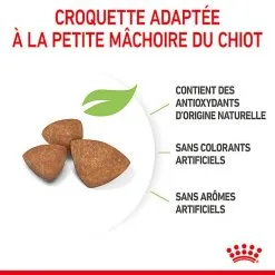 Royal Canin - Croquettes Puppy X-Small Pour Chiots - 3Kg 12 Royal Canin - Croquettes Puppy X-Small Pour Chiots - 3Kg -Nourriture pour chien Soldes 74428