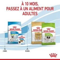 Royal Canin - Croquettes Puppy X-Small Pour Chiots - 3Kg 13 Royal Canin - Croquettes Puppy X-Small Pour Chiots - 3Kg -Nourriture pour chien Soldes 74429
