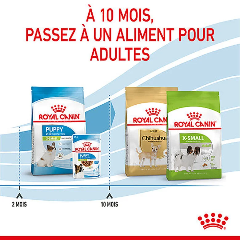 Royal Canin - Croquettes Puppy X-Small Pour Chiots - 3Kg 8 Royal Canin - Croquettes Puppy X-Small Pour Chiots - 3Kg – Image 6