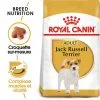 Royal Canin - Croquettes Jack Russell Adult Pour Chiens - 1,5Kg 2 Royal Canin - Croquettes Jack Russell Adult Pour Chiens - 1,5Kg -Nourriture pour chien Soldes 74440