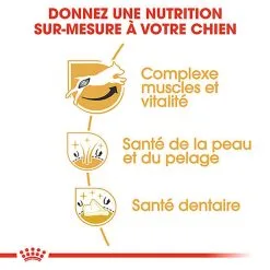 Royal Canin - Croquettes Jack Russell Adult Pour Chiens - 1,5Kg 11 Royal Canin - Croquettes Jack Russell Adult Pour Chiens - 1,5Kg -Nourriture pour chien Soldes 74445