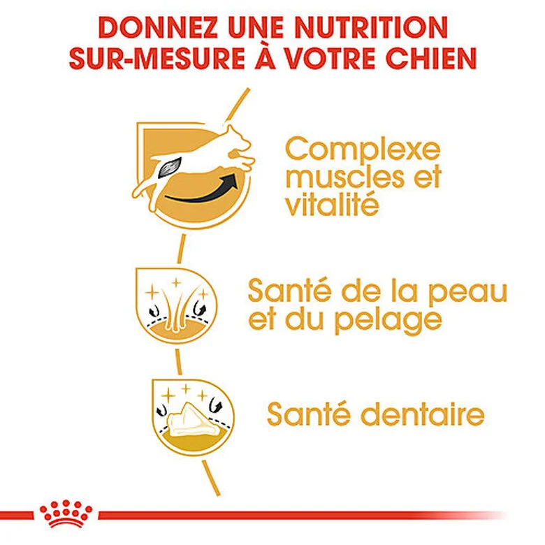 Royal Canin - Croquettes Jack Russell Adult Pour Chiens - 1,5Kg 6 Royal Canin - Croquettes Jack Russell Adult Pour Chiens - 1,5Kg – Image 4