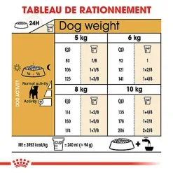 Royal Canin - Croquettes Jack Russell Adult Pour Chiens - 1,5Kg 12 Royal Canin - Croquettes Jack Russell Adult Pour Chiens - 1,5Kg -Nourriture pour chien Soldes 74447