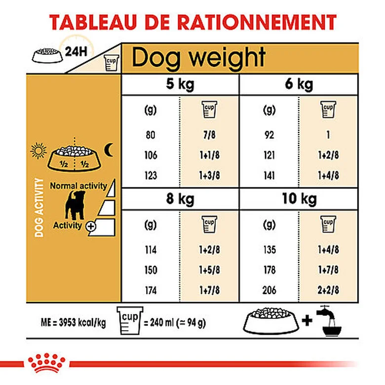 Royal Canin - Croquettes Jack Russell Adult Pour Chiens - 1,5Kg 7 Royal Canin - Croquettes Jack Russell Adult Pour Chiens - 1,5Kg – Image 5