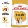 Royal Canin - Croquettes Beagle Adult Pour Chien - 12Kg 2 Royal Canin - Croquettes Beagle Adult Pour Chien - 12Kg -Nourriture pour chien Soldes 74473