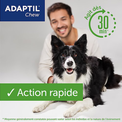 Adaptil - Bouchées Moelleuses D'Appaisement Adaptil Chew Pour Chiens - X30 10 Adaptil - Bouchées Moelleuses D'Appaisement Adaptil Chew Pour Chiens - X30 -Nourriture pour chien Soldes 75216