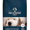 Pro Nutrition Pro-nutrition - Croquettes Prestige Maxi Puppy Pour Chiots - 15Kg 2 Pro Nutrition Pro-nutrition - Croquettes Prestige Maxi Puppy Pour Chiots - 15Kg -Nourriture pour chien Soldes 75624