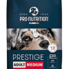 Pro Nutrition Pro-nutrition - Croquettes Prestige Medium Adult Pour Chiens - 15+3Kg 2 Pro Nutrition Pro-nutrition - Croquettes Prestige Medium Adult Pour Chiens - 15+3Kg -Nourriture pour chien Soldes 75628