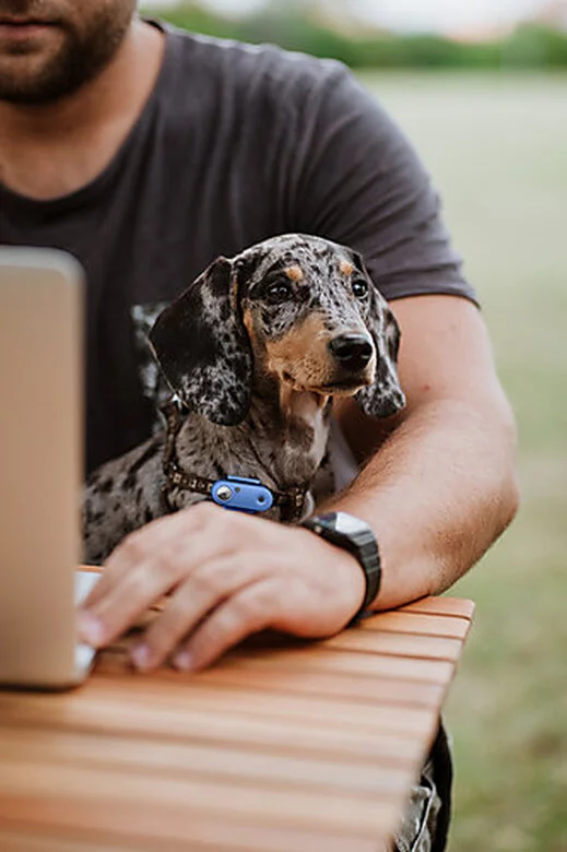 Tickless - Répulsif Antiparasitaire Mini Dog Ultrason Rechargeable Pour Chiens - Bleu 6 Tickless - Répulsif Antiparasitaire Mini Dog Ultrason Rechargeable Pour Chiens - Bleu – Image 4