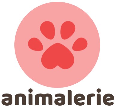 Nourriture pour chien Soldes